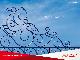 Tunisair