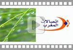 Méteo Maroc